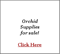 Text Box: Orchid
Supplies
for sale!

Click Here