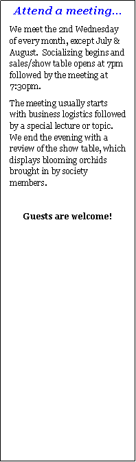 Text Box: Attend a meeting...We meet the 2nd Wednesday of every month, except July & August.  Socializing begins and  sales/show table opens at 7pm followed by the meeting at 7:30pm.The meeting usually starts  with business logistics followed by a special lecture or topic.  We end the evening with a review of the show table, which displays blooming orchids brought in by society members.  Guests are welcome!